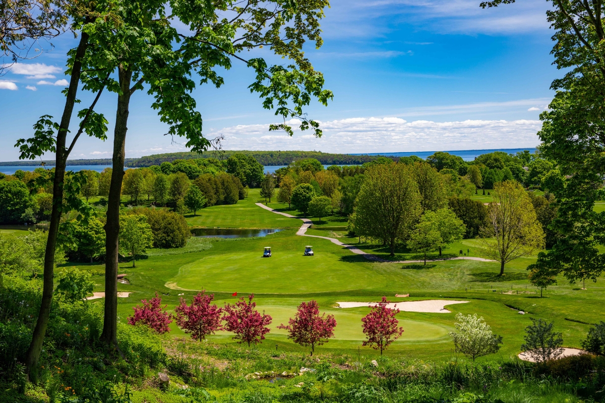 a golf course with trees and water in the background