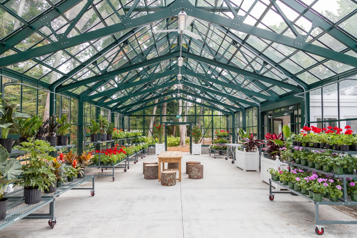 a greenhouse with plants and tables