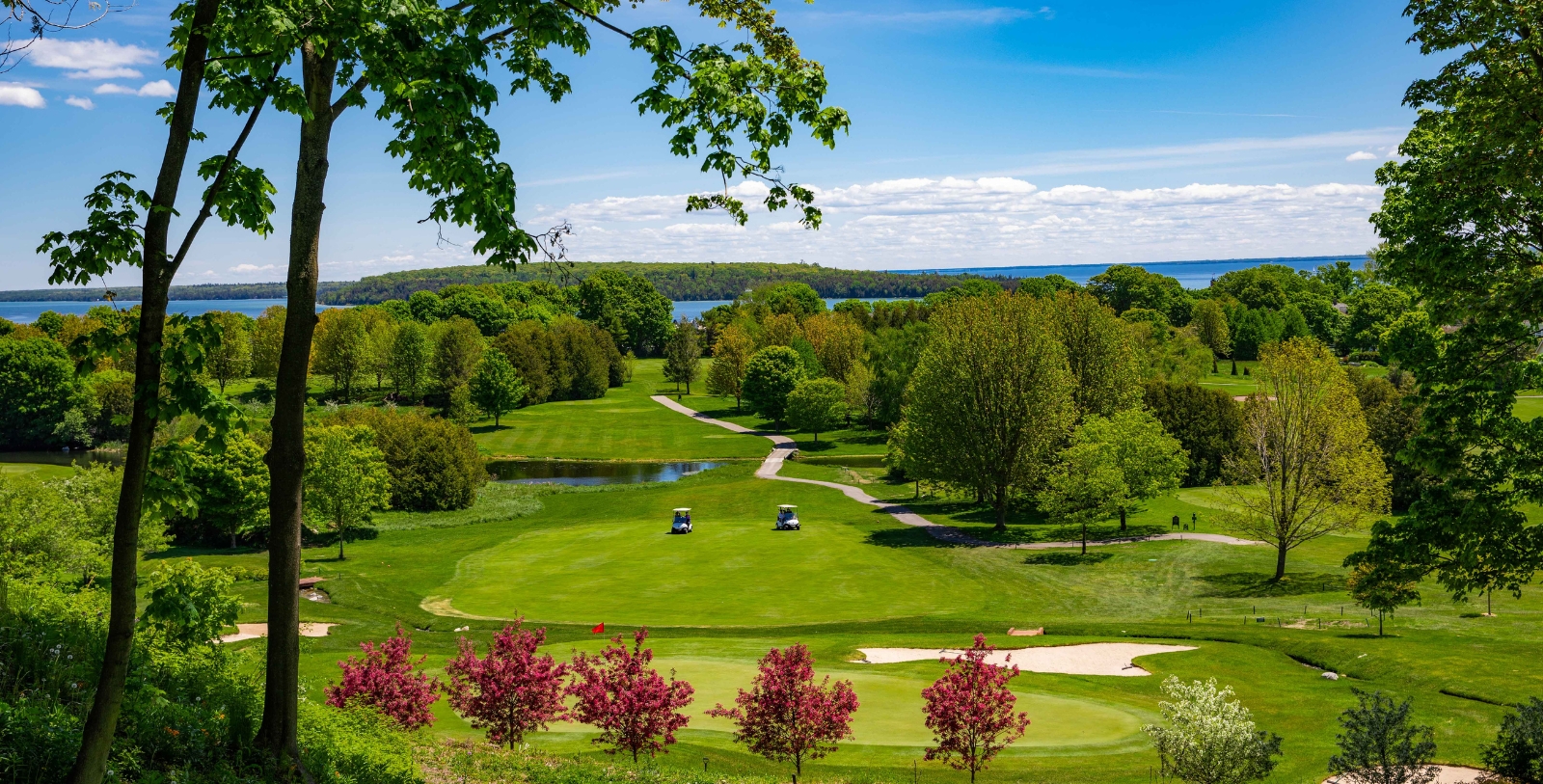 a golf course with trees and water