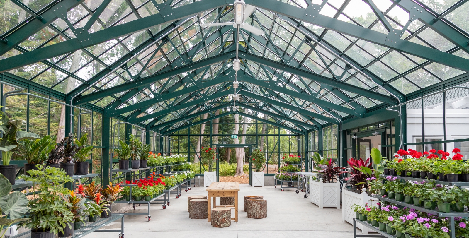 a greenhouse with plants and tables