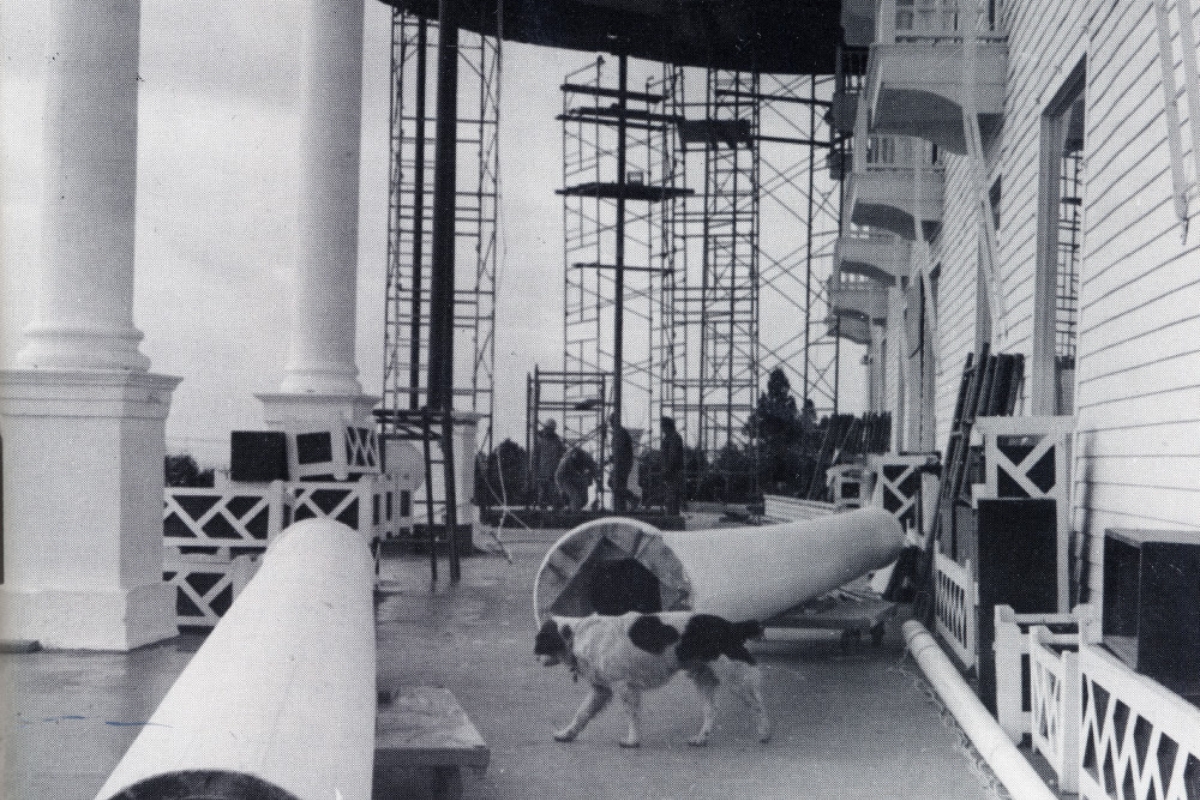 dogs standing on a deck with a boat