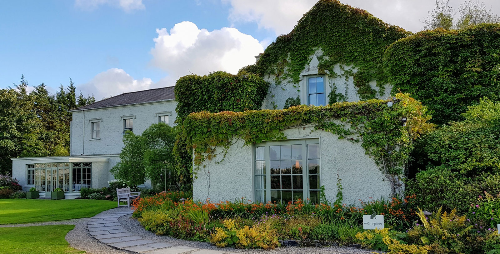 a house with a green plant on the side
