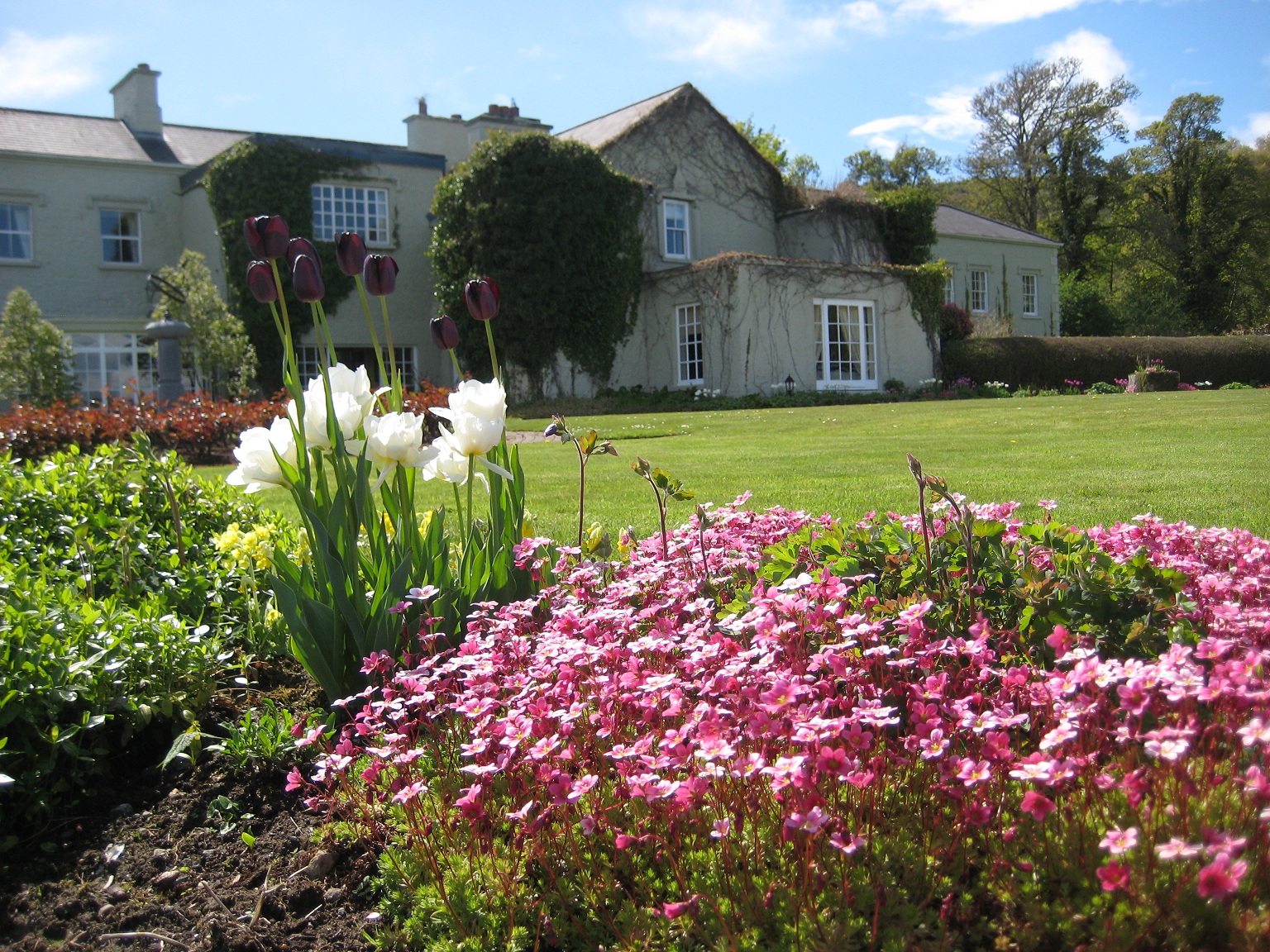 a house with a lawn and flowers