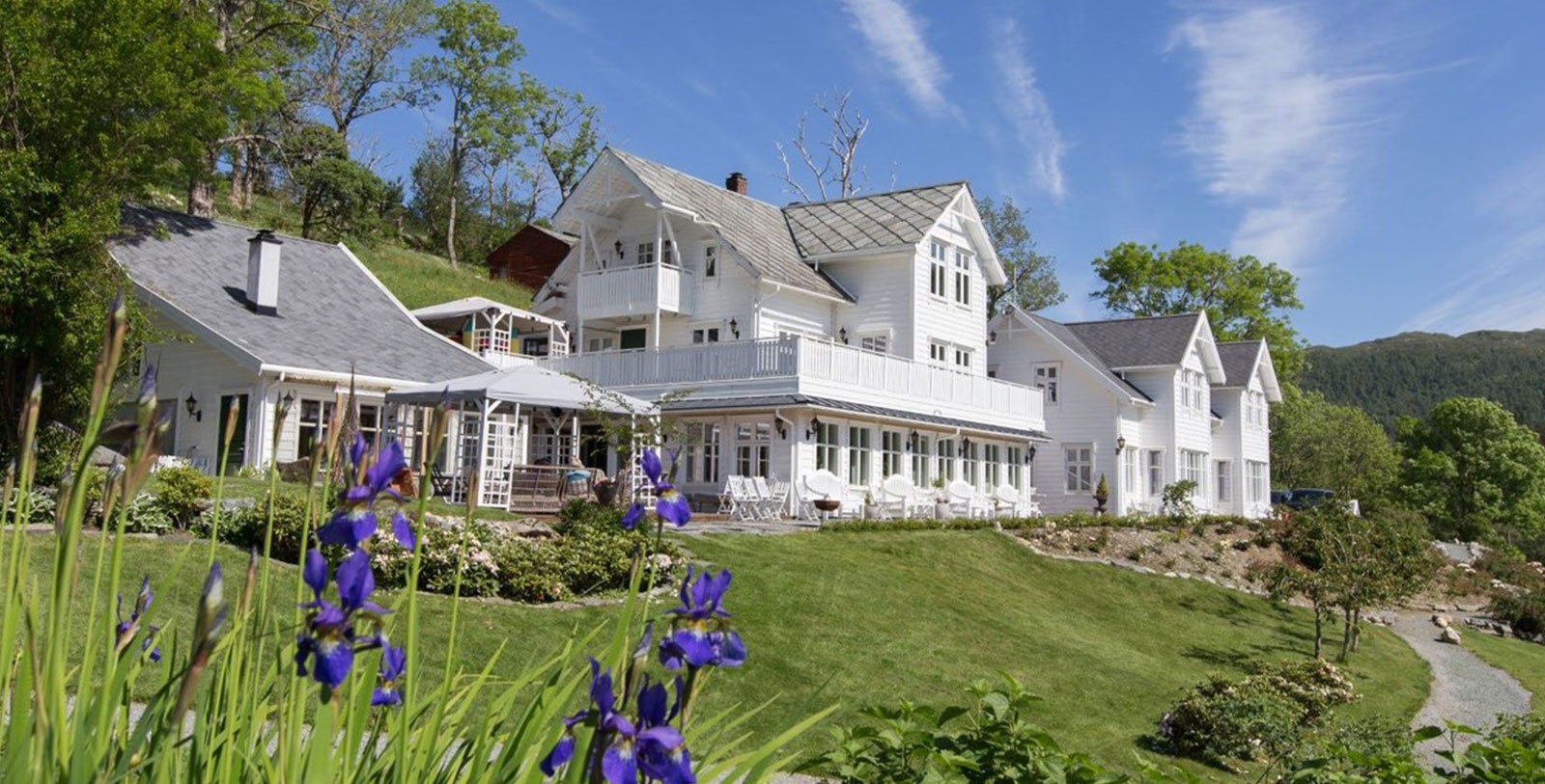 a white house with a lawn and purple flowers