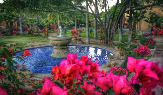 a fountain surrounded by pink flowers