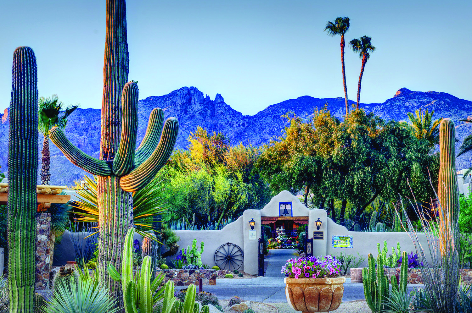 a cactus and a building with mountains in the background