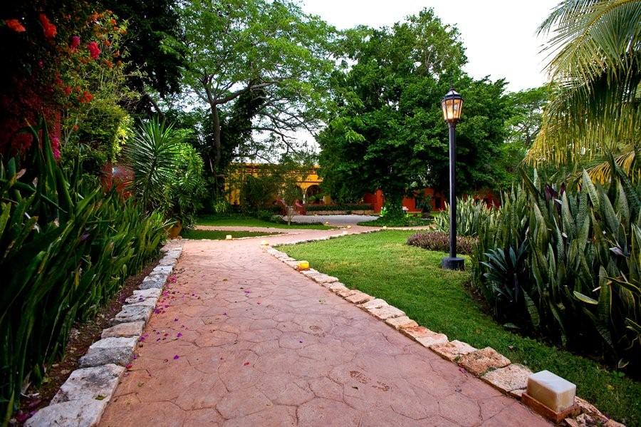a path with a lamp post and trees