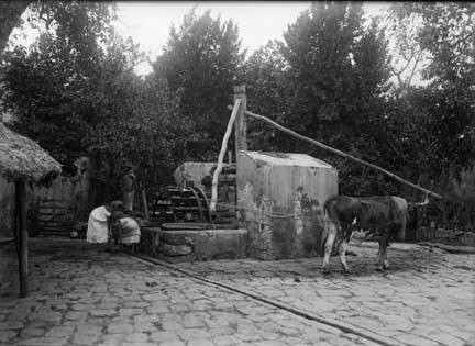 a woman and a horse at a water well