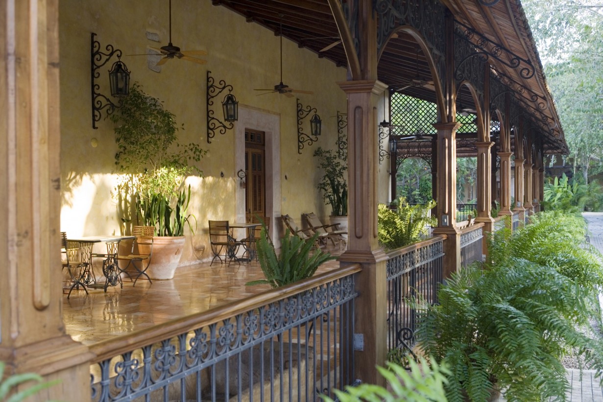 a patio with plants and a fence