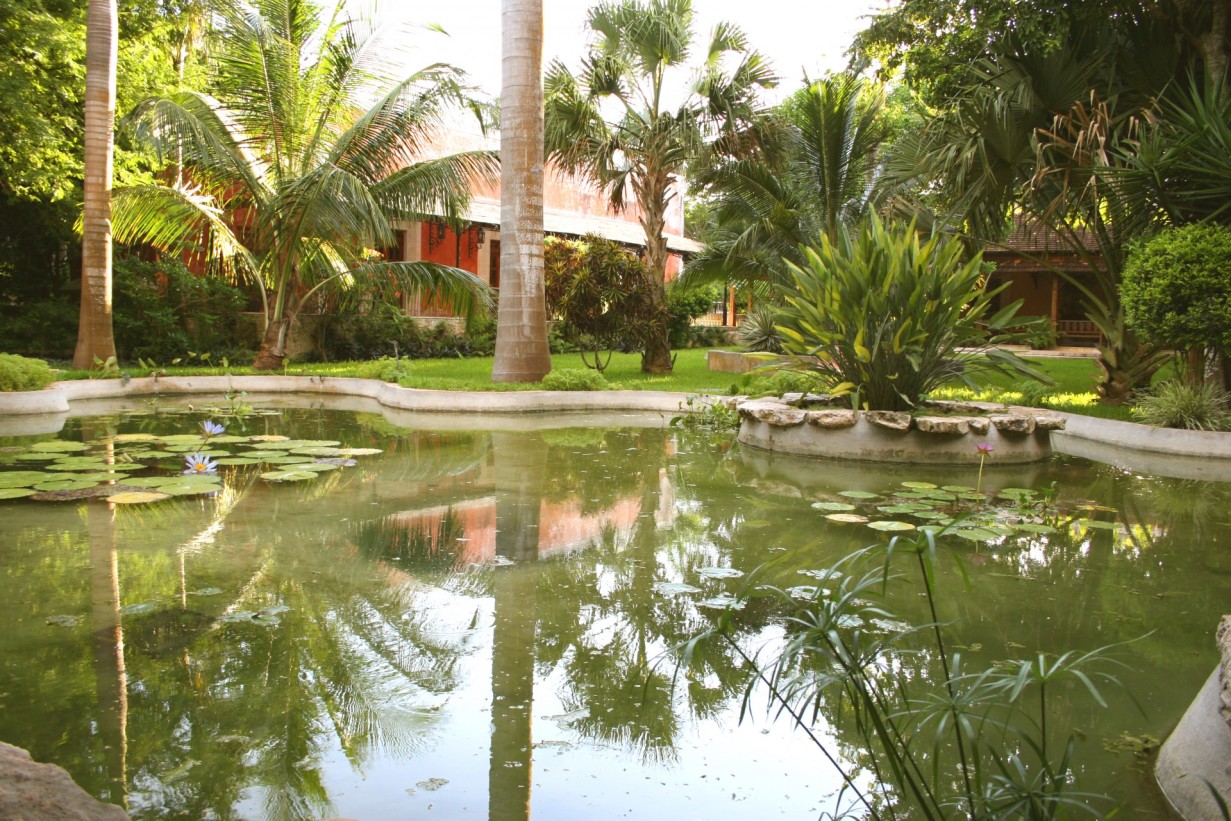 a pond with water and trees around it