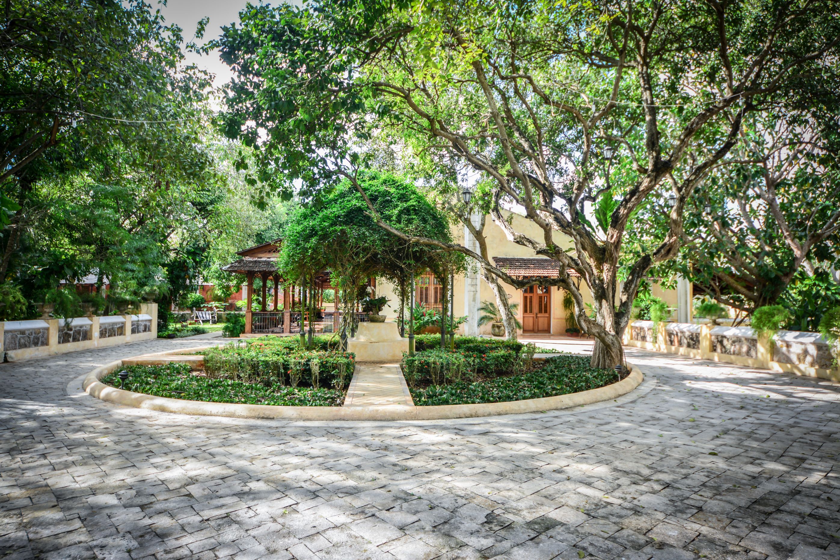 a courtyard with trees and a building