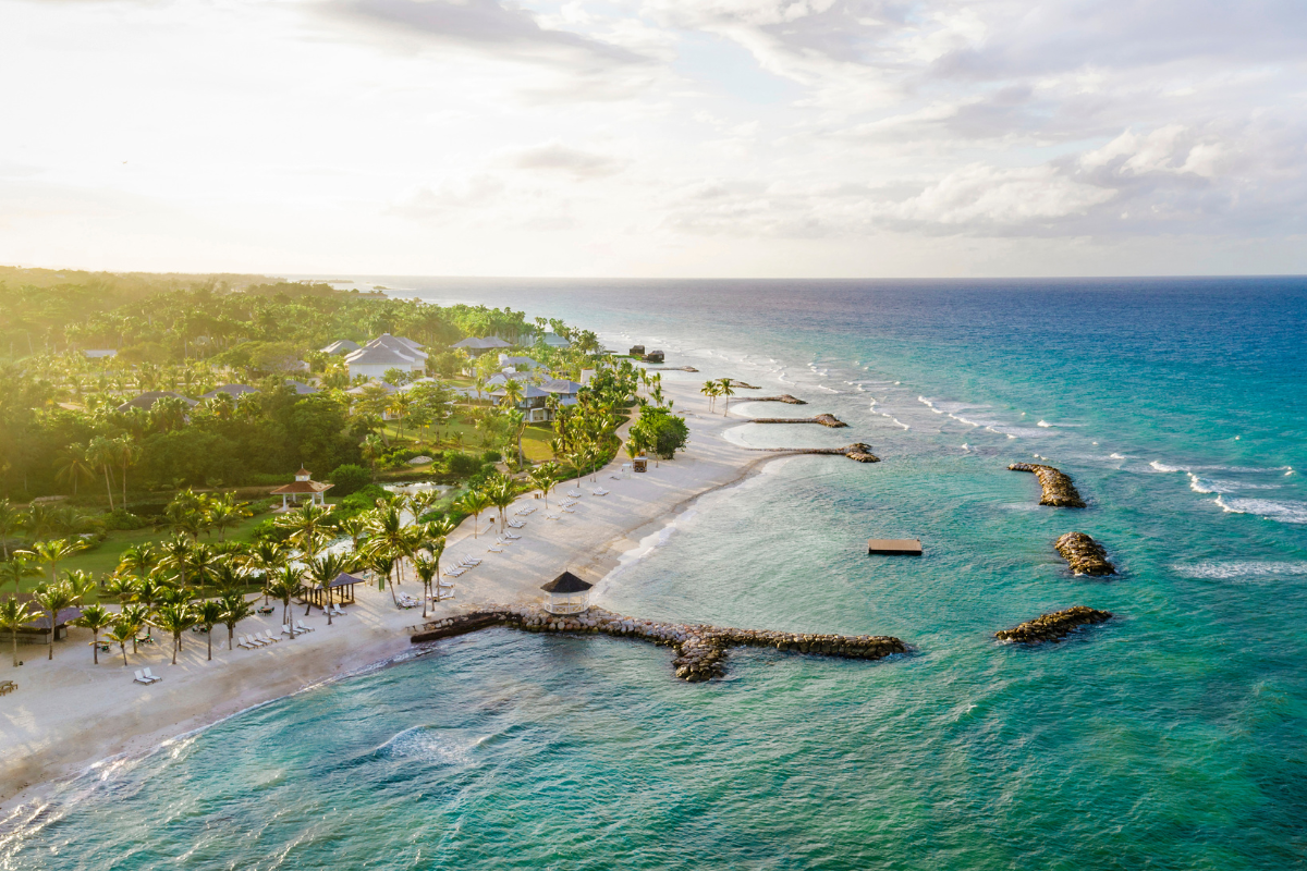 a beach with trees and a body of water