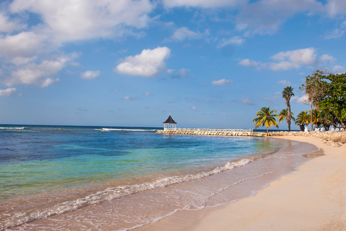 a beach with palm trees and a pier
