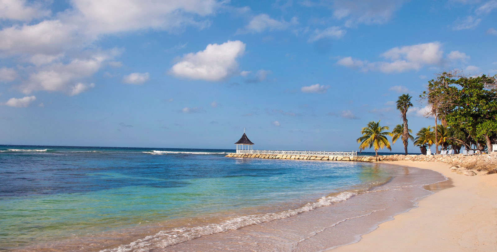 a beach with a pier and palm trees