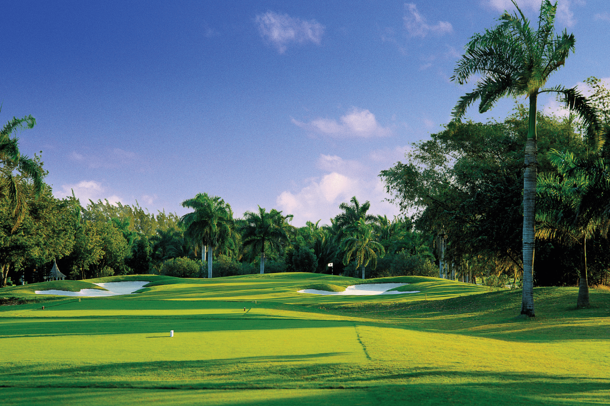 a golf course with palm trees and blue sky