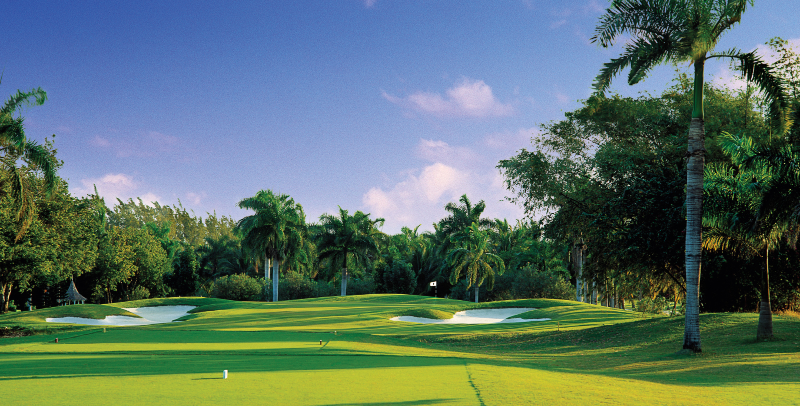 a golf course with palm trees and blue sky