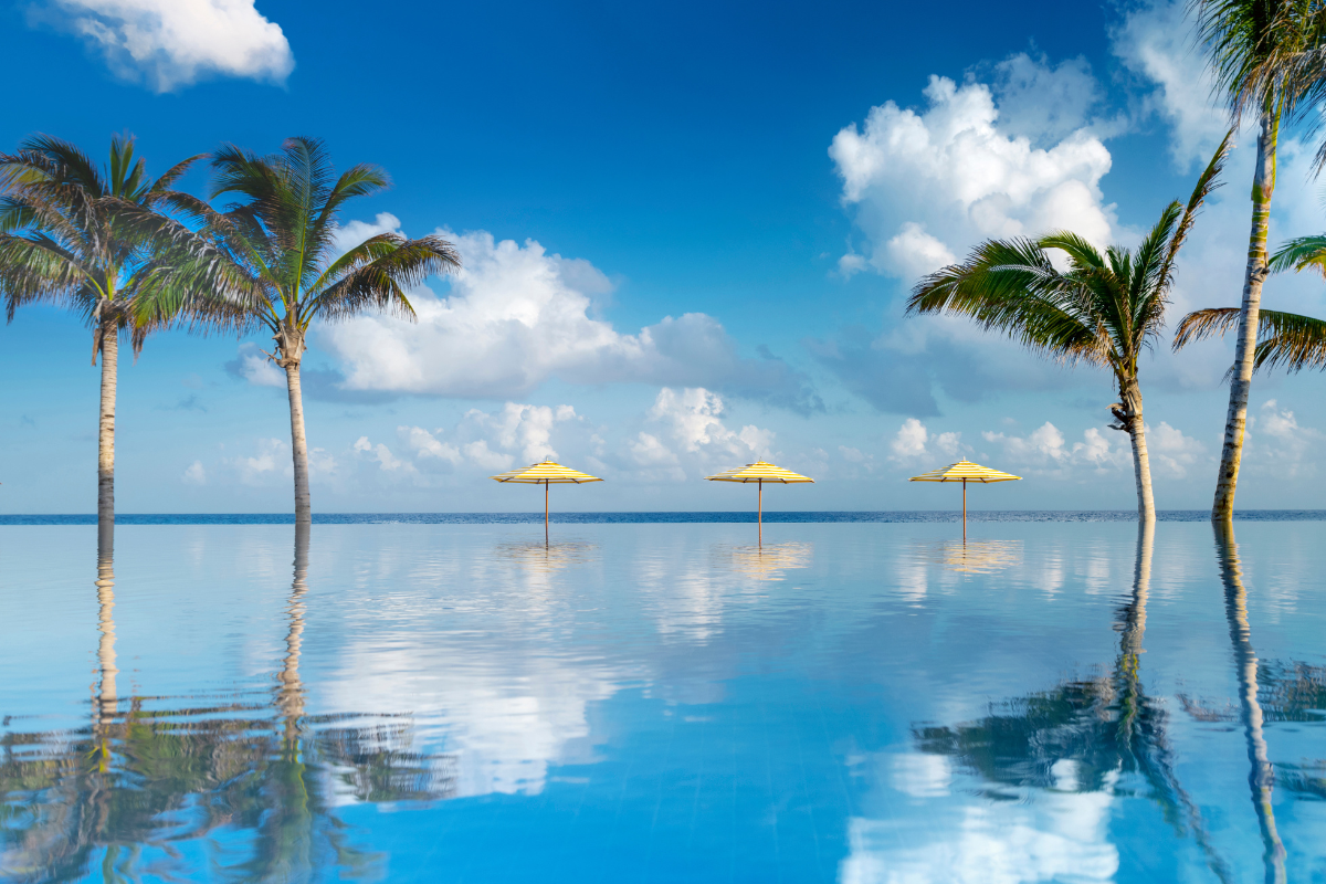 a pool with umbrellas and palm trees