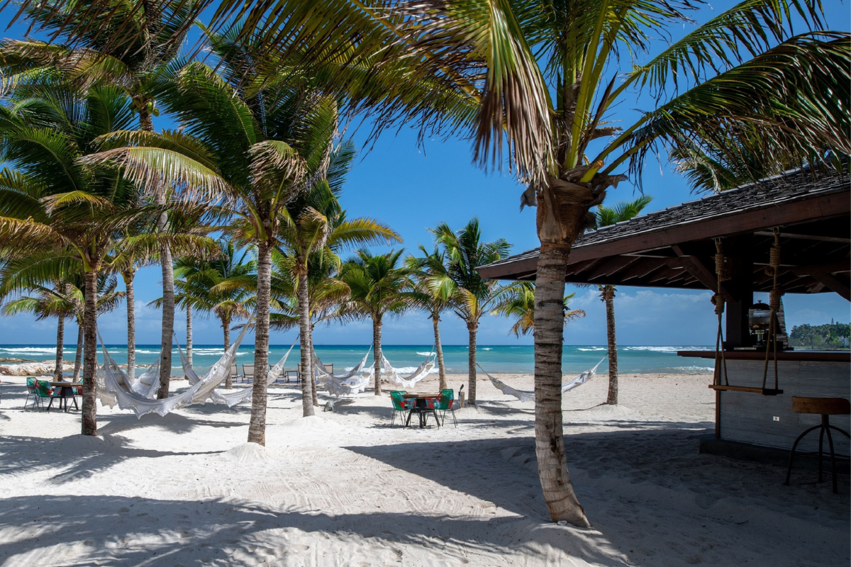hammocks on a beach with palm trees and chairs under a shelter