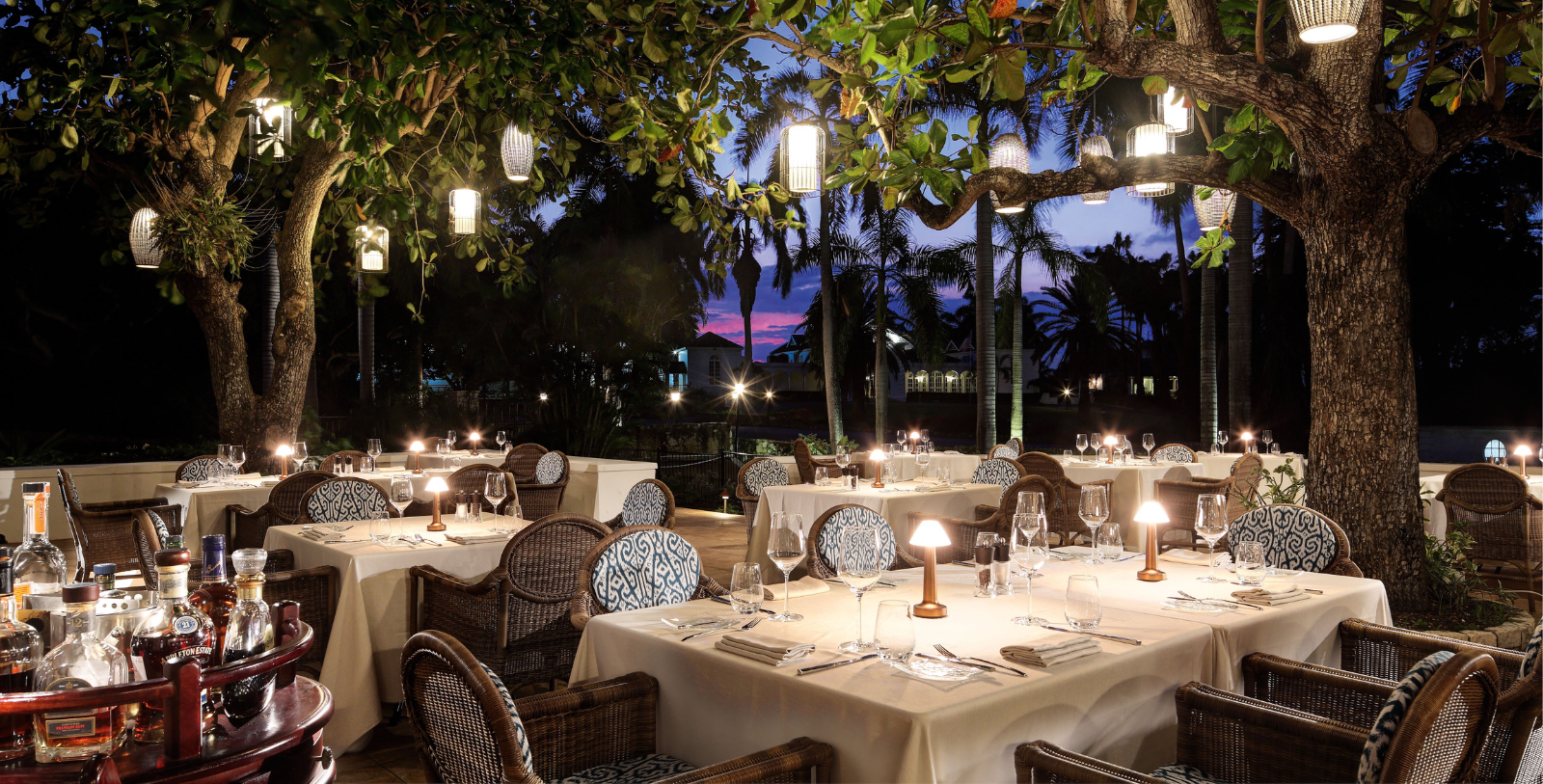 a tables set up under a tree