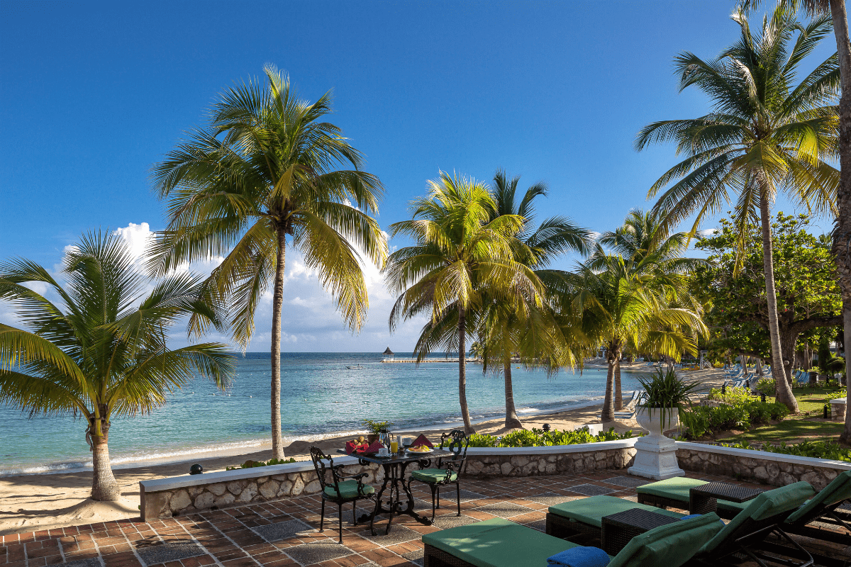 a patio with chairs and tables and palm trees by the water