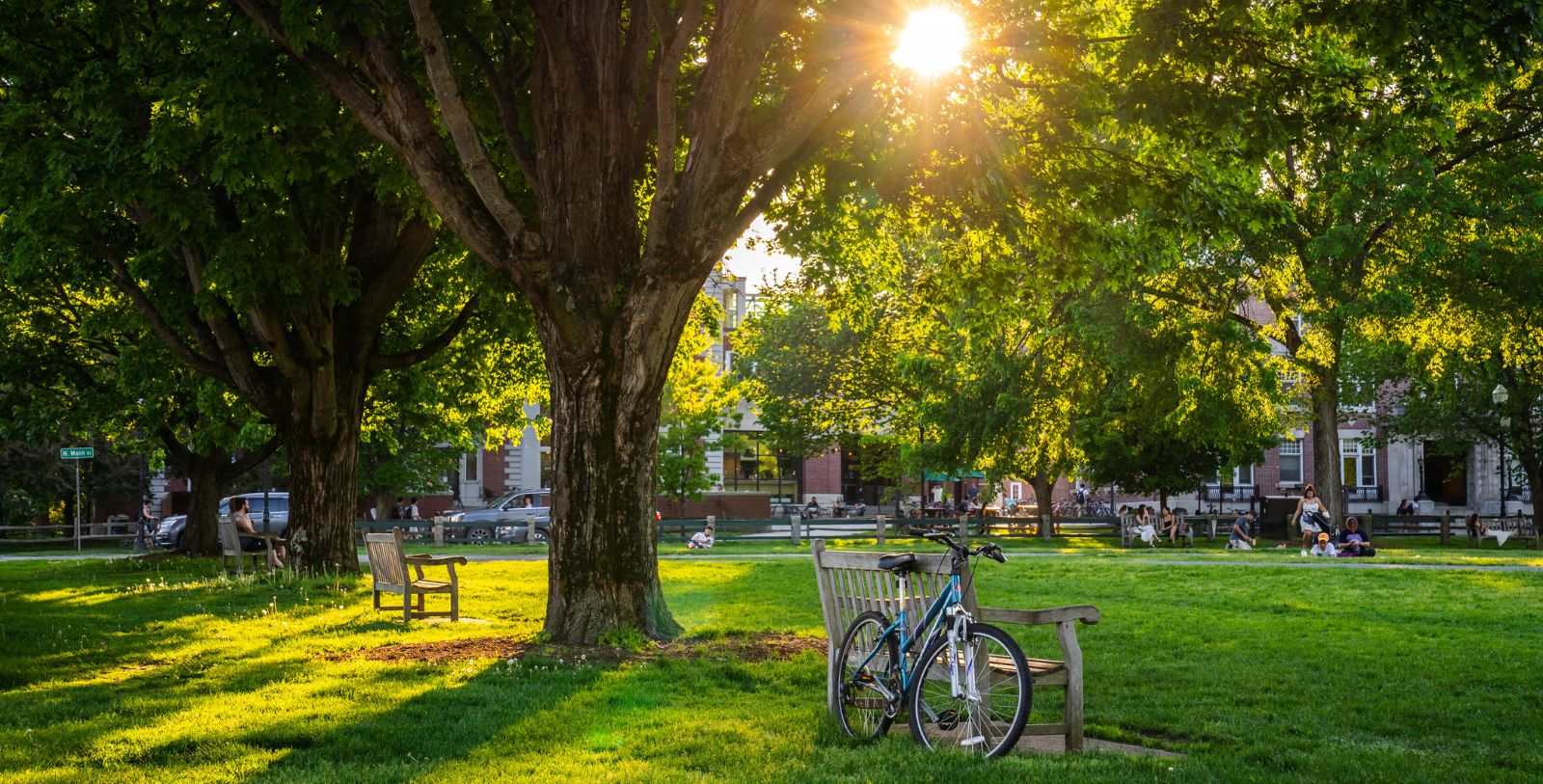 a bicycle on a bench in a park