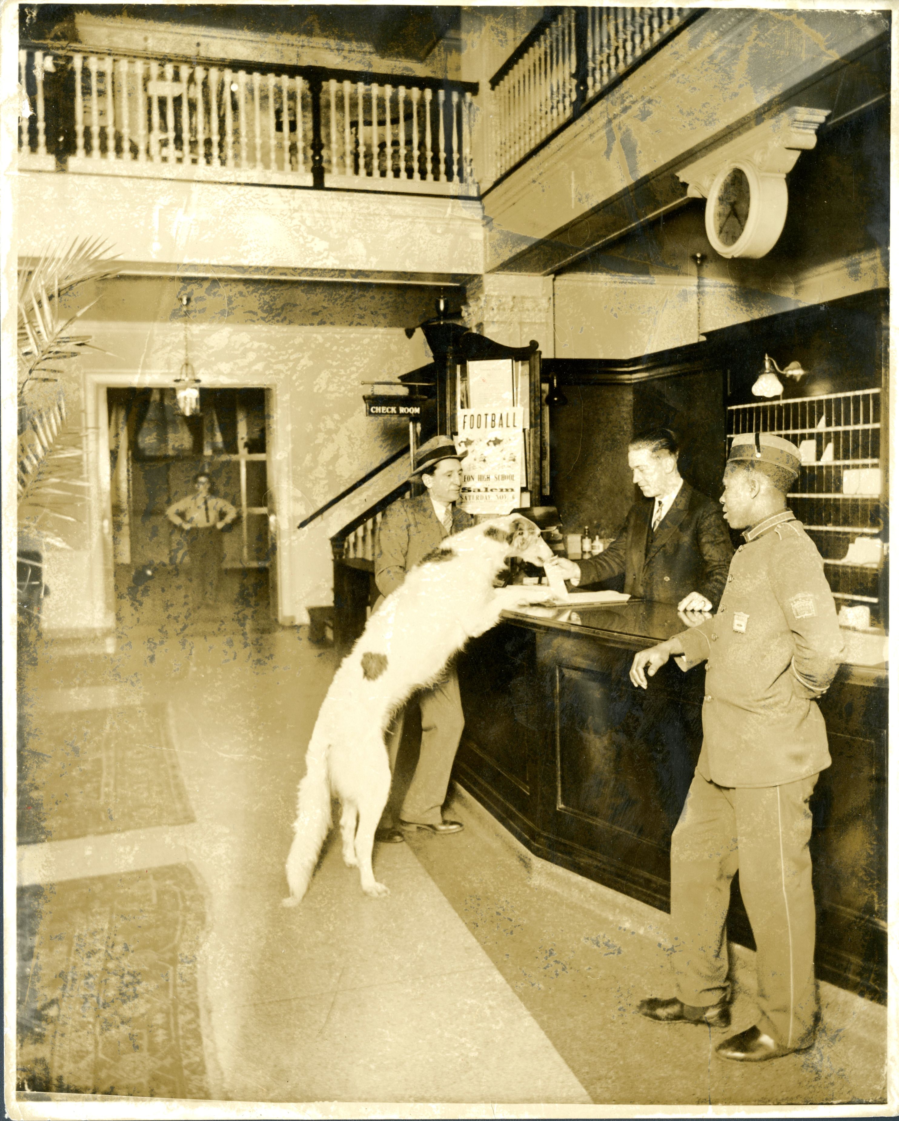 a dog standing at a counter with a man in a uniform