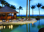 a pool with a hut and palm trees