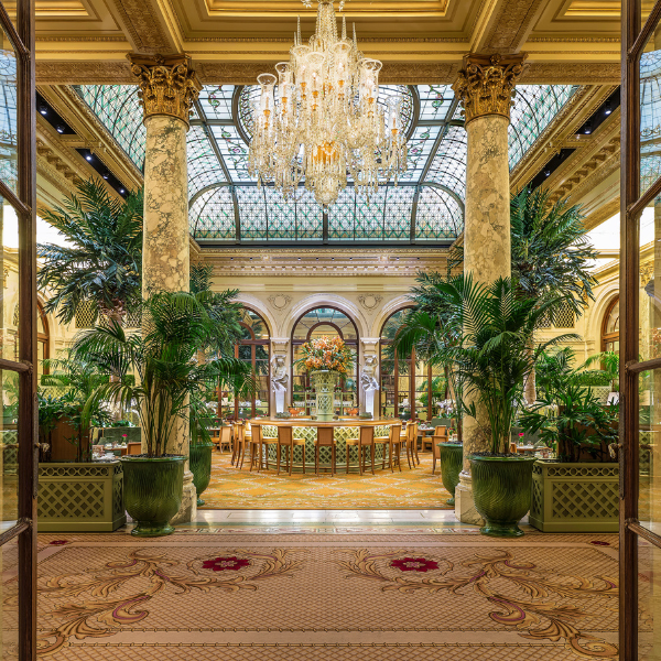 a room with a chandelier and palm trees