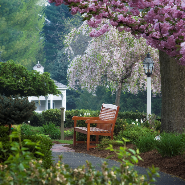 a bench in a park