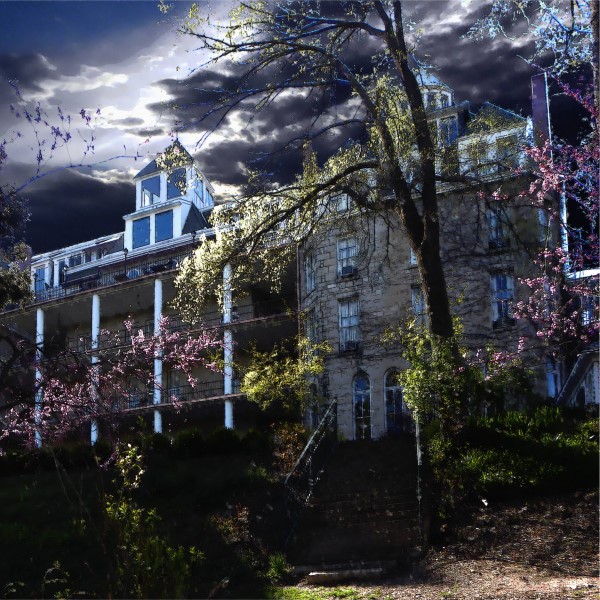 a building with a staircase and trees