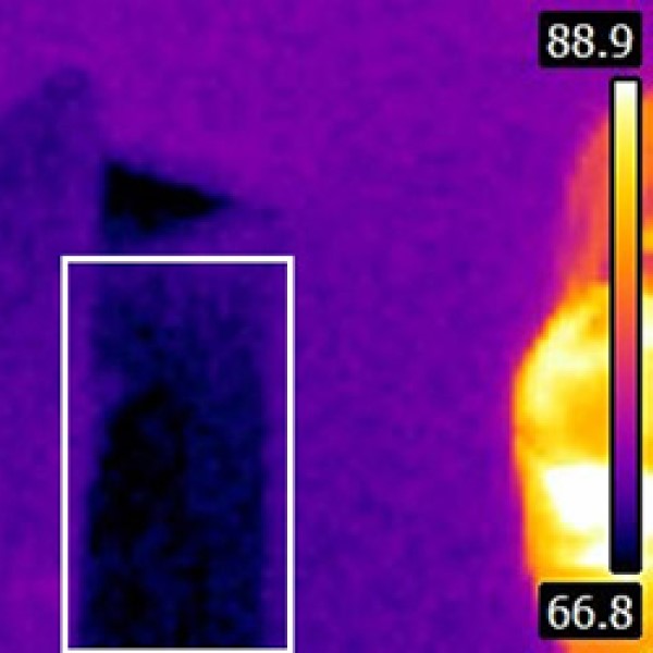 a close-up of a infrared image