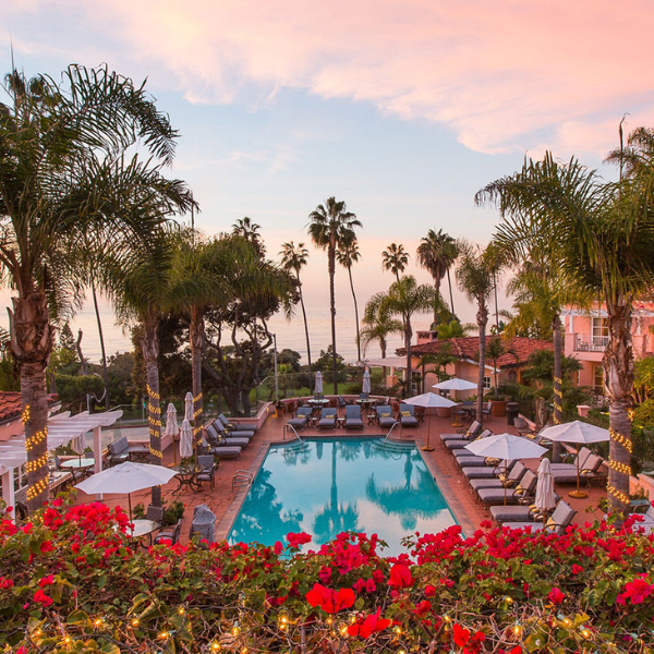 a pool with chairs and umbrellas surrounded by palm trees