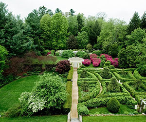 a garden with a path and trees