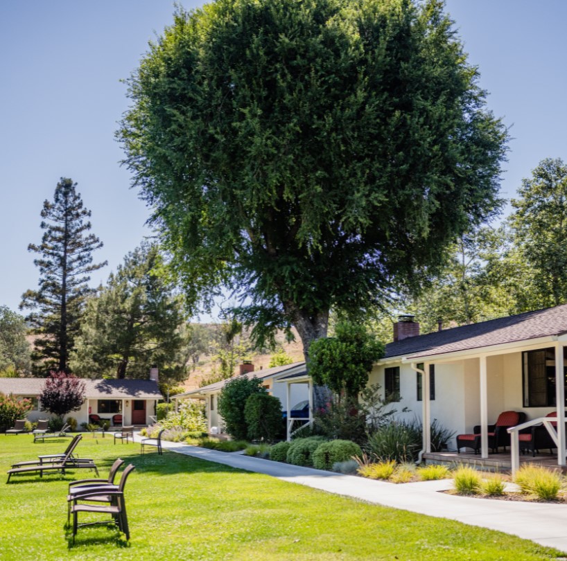 a lawn and lawn chairs in front of a house