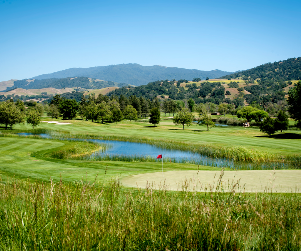 a golf course with a pond and trees