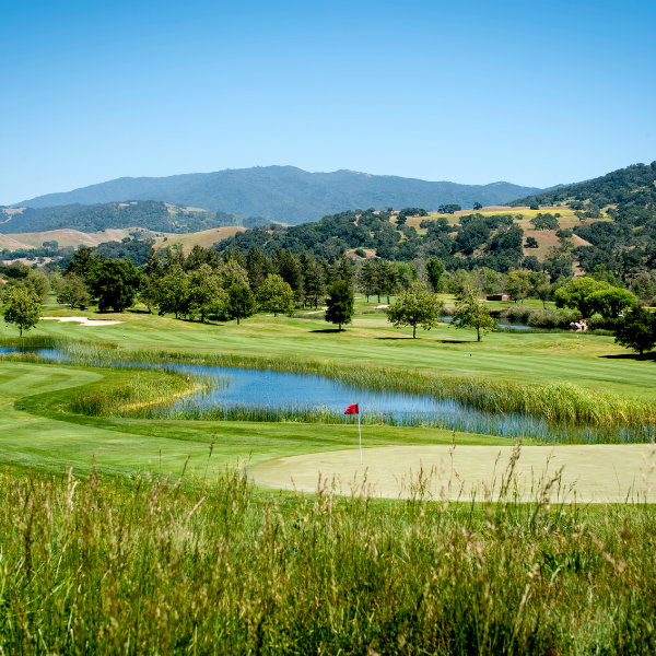 a golf course with a pond and a flag