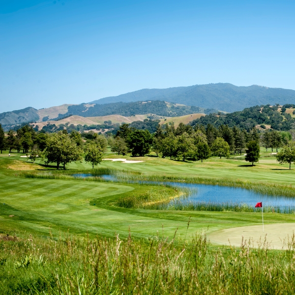 a golf course with a lake and trees