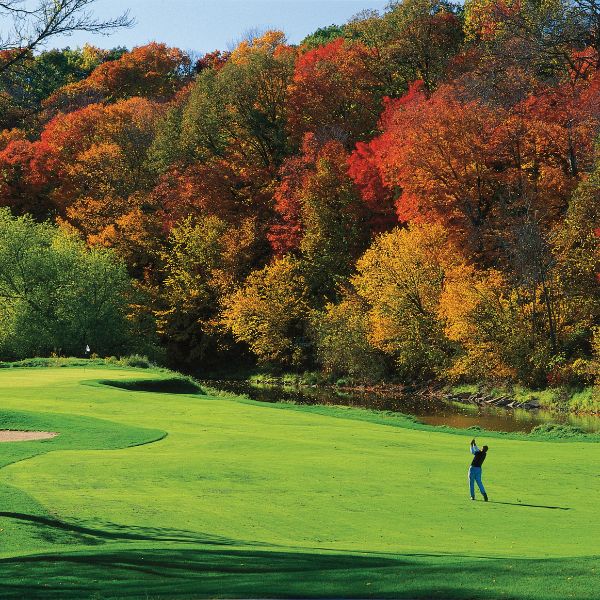 a man playing golf on a golf course