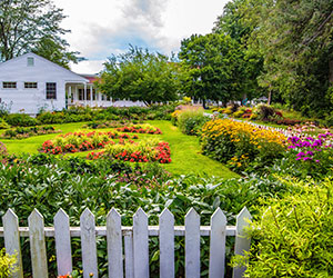a garden with a white picket fence and a house