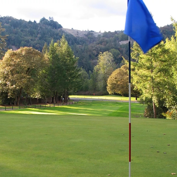 a flag on a golf course