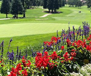 a field of flowers and a golf course