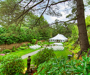 a white tent with chairs in the middle of a garden