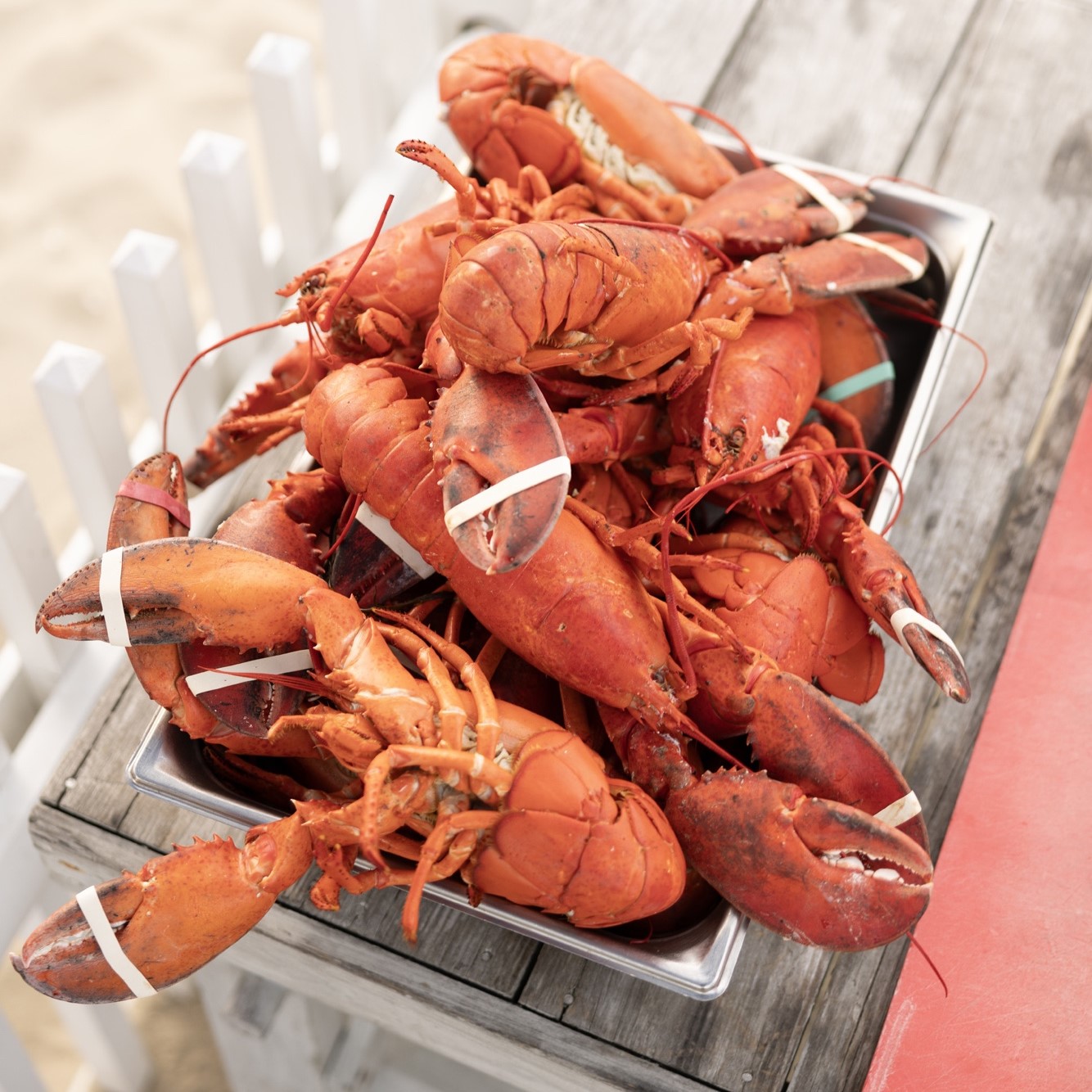 a plate of lobsters on a table