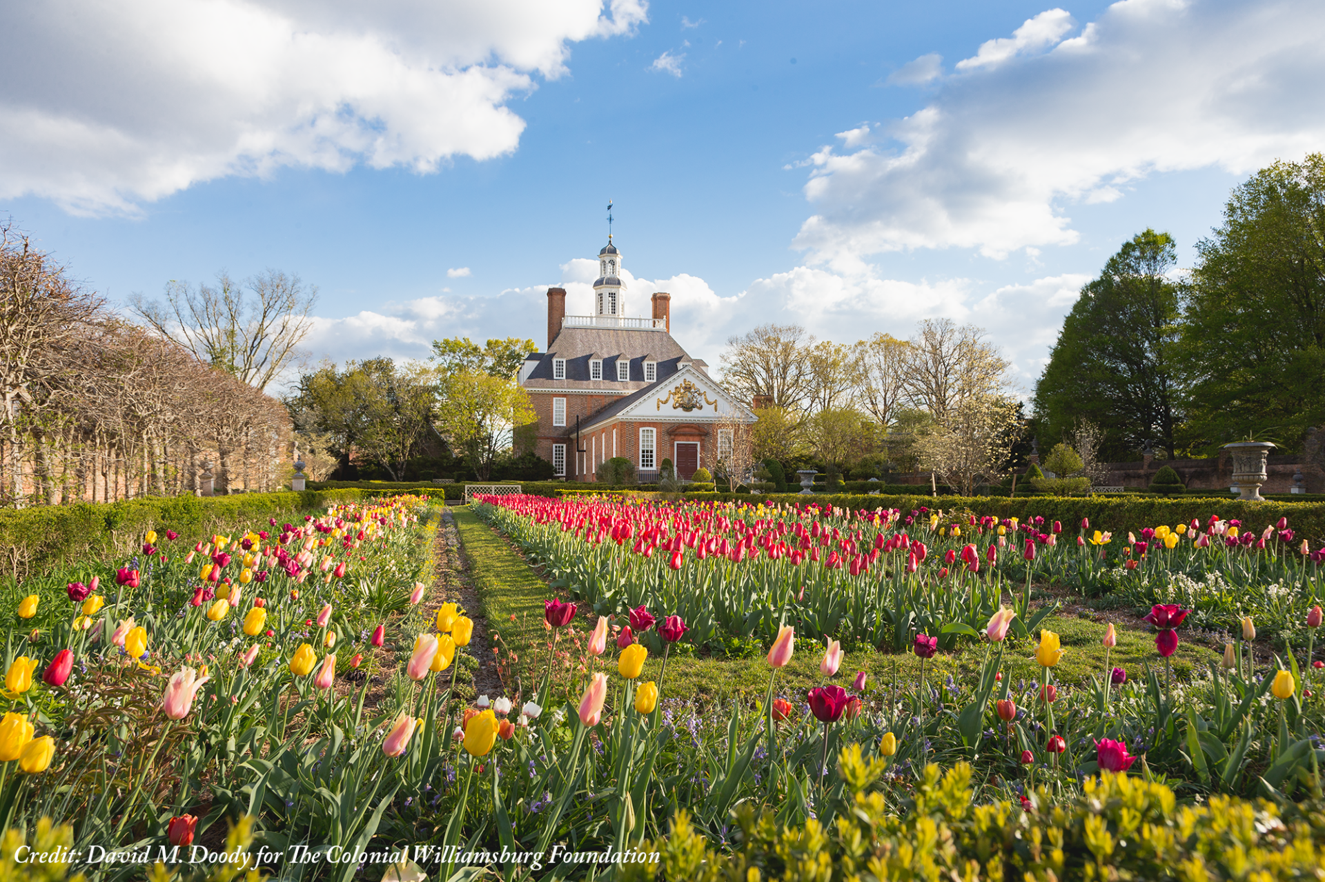 a field of tulips in front of a building