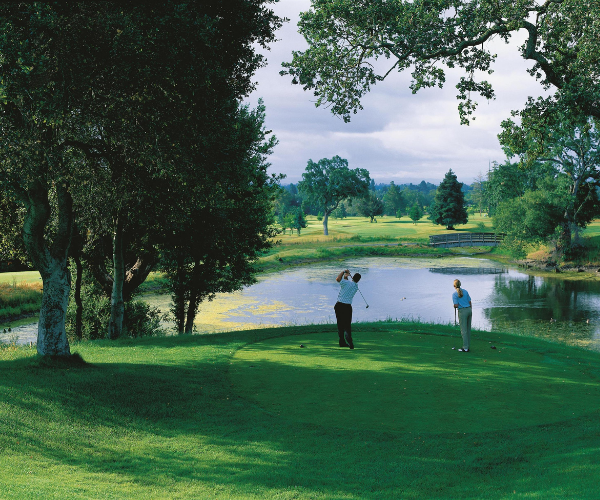 a man and woman playing golf