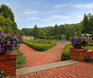 a garden with a brick path and bushes