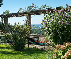 a bench in a garden