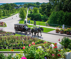 a horse drawn carriage with horses and flowers