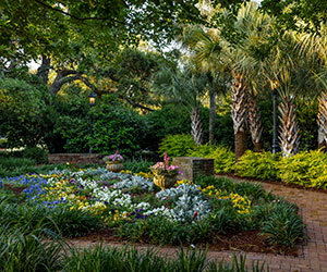 a garden with flowers and trees