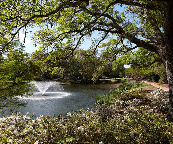 a pond with a fountain in the middle